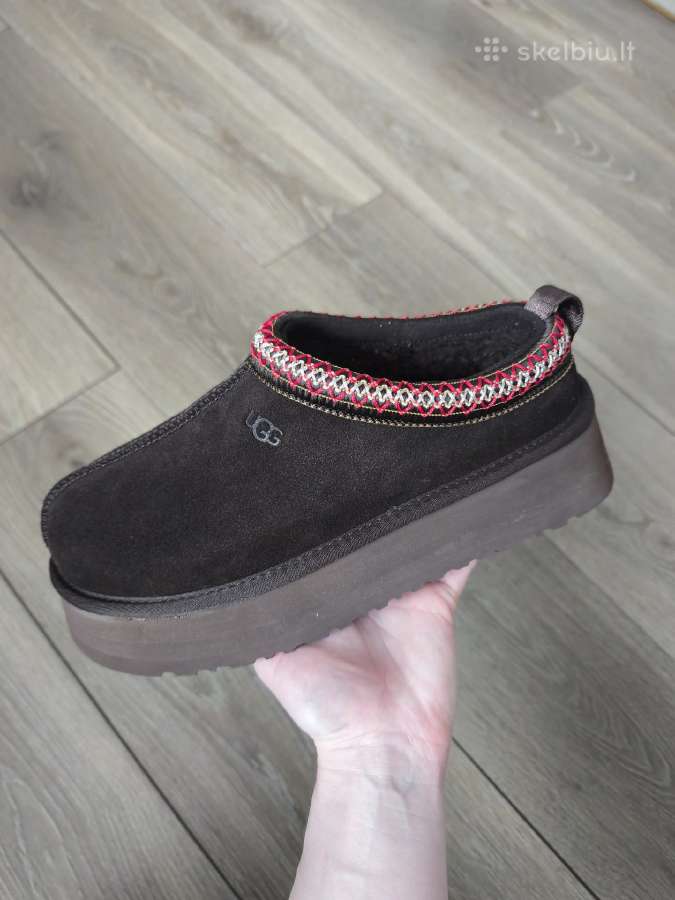 Ugg Tazz II