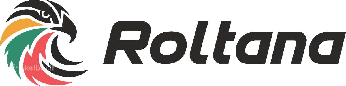 Tolimuju reisu vairuotojas