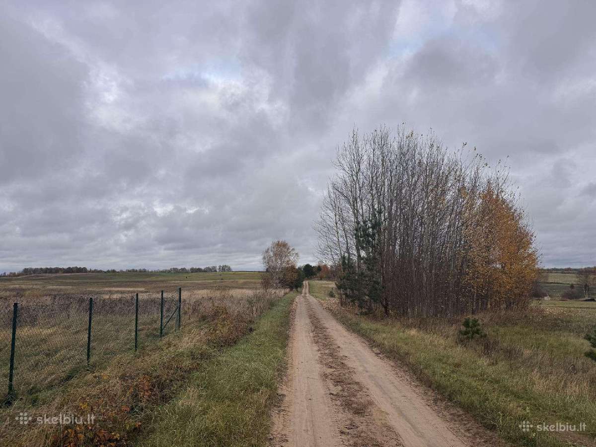 Dituva sklypai , kvartalas sklypų, Dituvos slėnis - nuotraukos Nr. 4