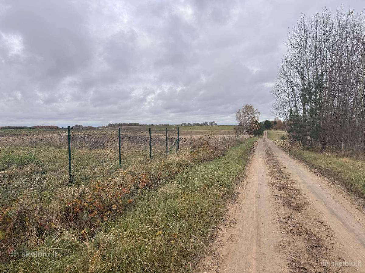 Dituva sklypai , kvartalas sklypų, Dituvos slėnis - nuotraukos Nr. 5