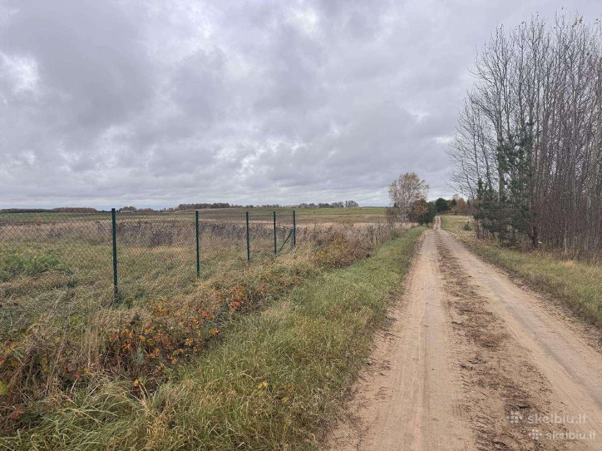 Dituva sklypai , kvartalas sklypų, Dituvos slėnis - nuotraukos Nr. 6