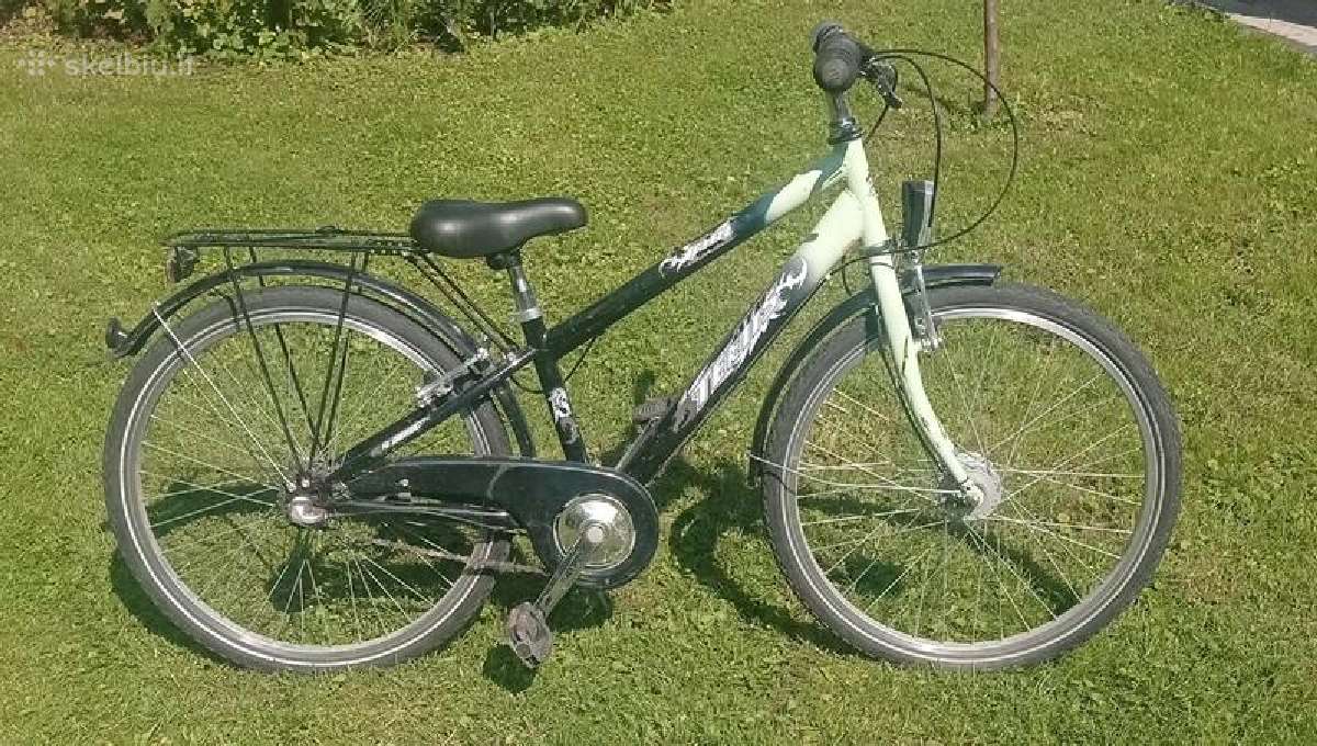 Dviratis paaugliui ir ne tik 24 dydis