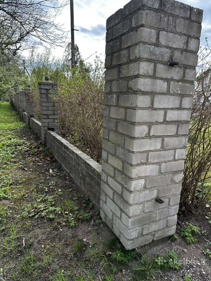 Dovanojamos plytos/grūžas - nuotraukos Nr. 3