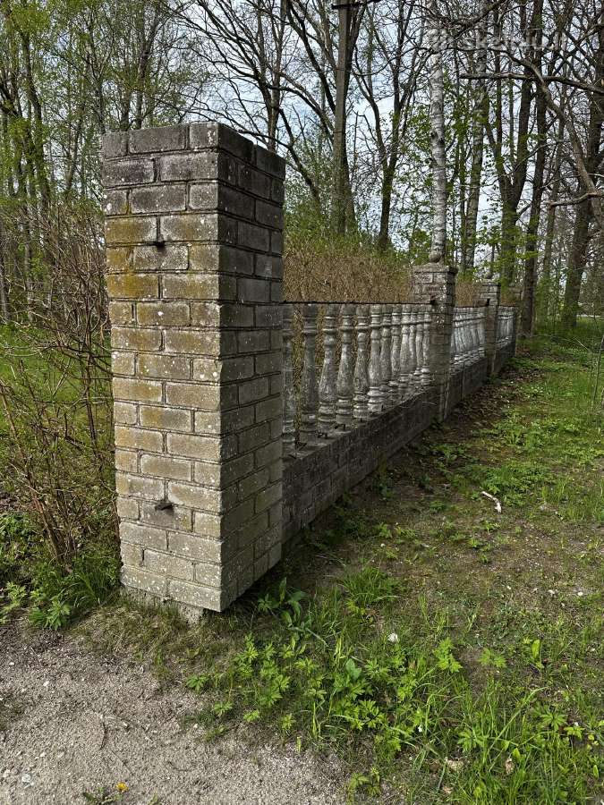 Dovanojamos plytos/grūžas - nuotraukos Nr. 4