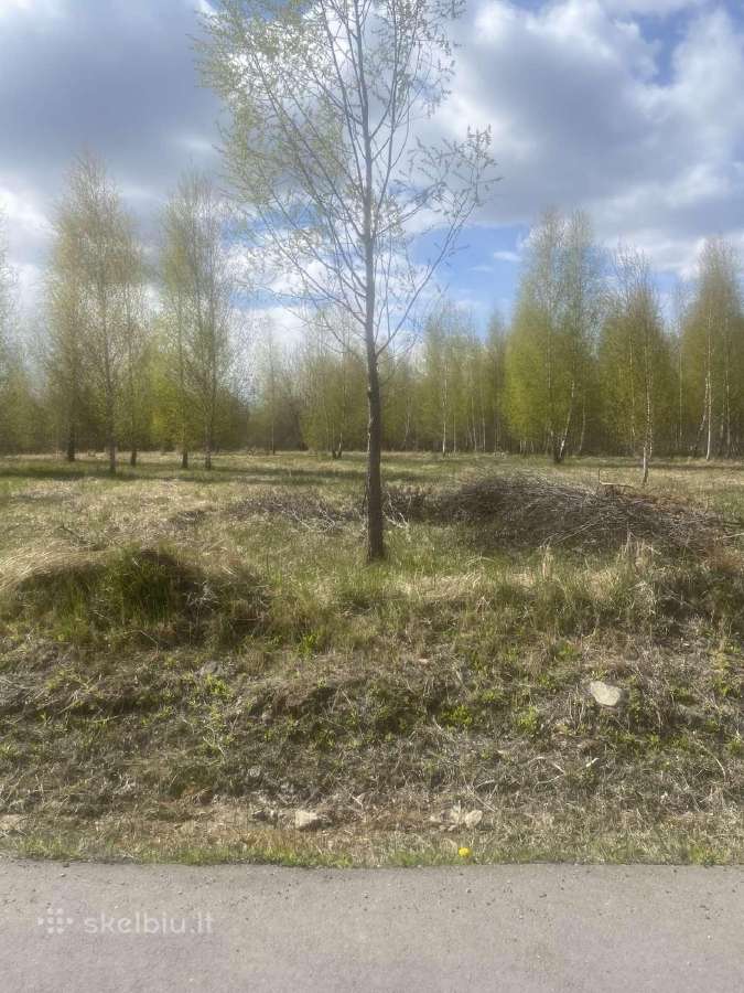 Parduodamas namų valdos sklypas Panendrės g. 7m