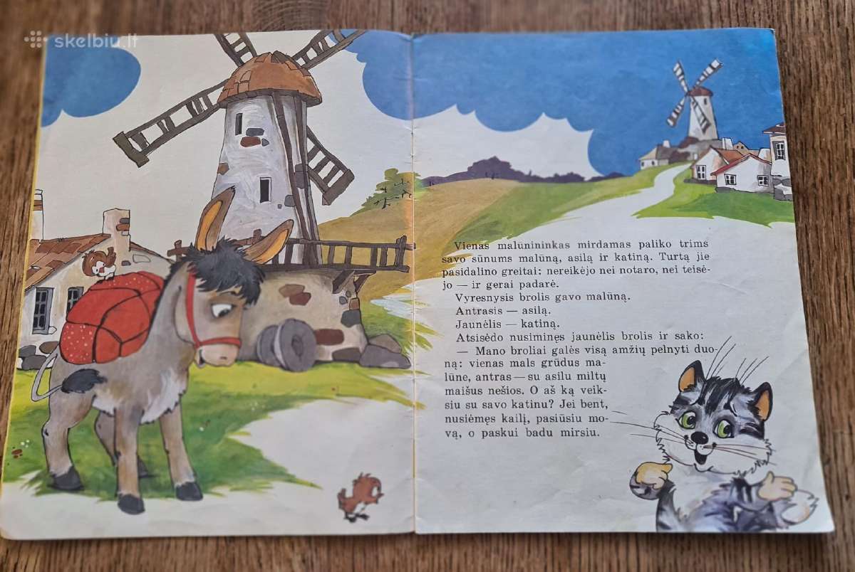 Batuotas katinas - nuotraukos Nr. 3