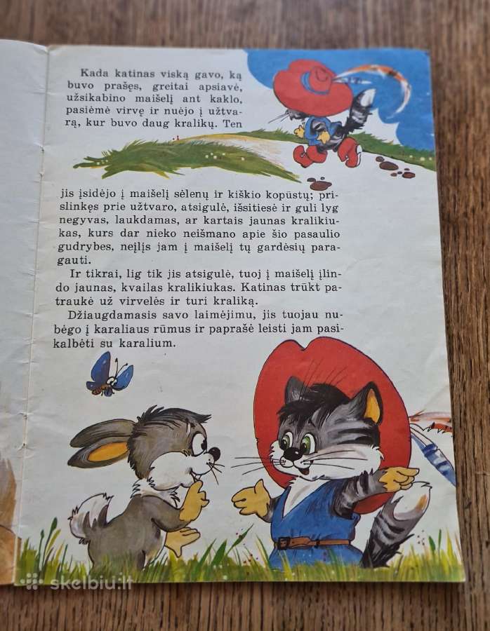 Batuotas katinas - nuotraukos Nr. 4