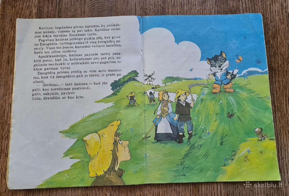 Batuotas katinas - nuotraukos Nr. 7