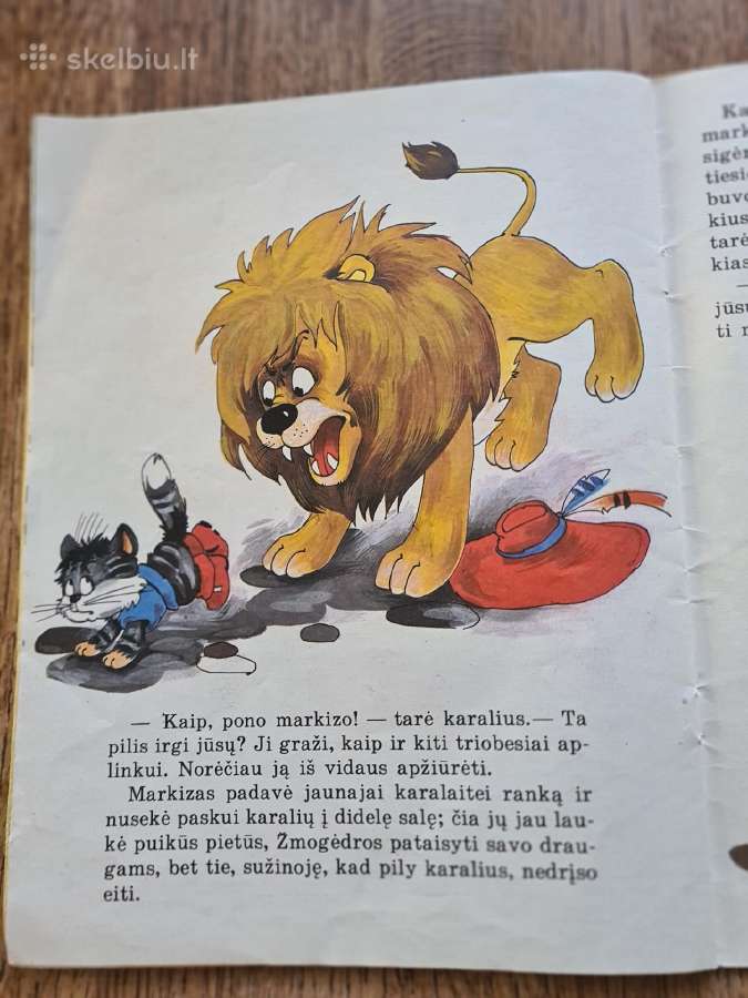 Batuotas katinas - nuotraukos Nr. 11