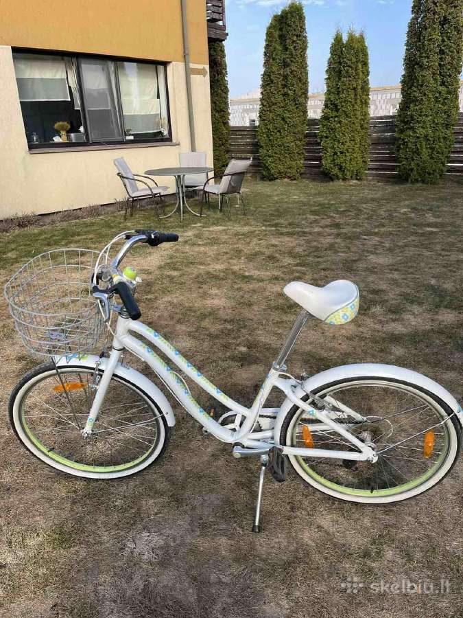 Giant Gloss 24" vaikiškas dviratis