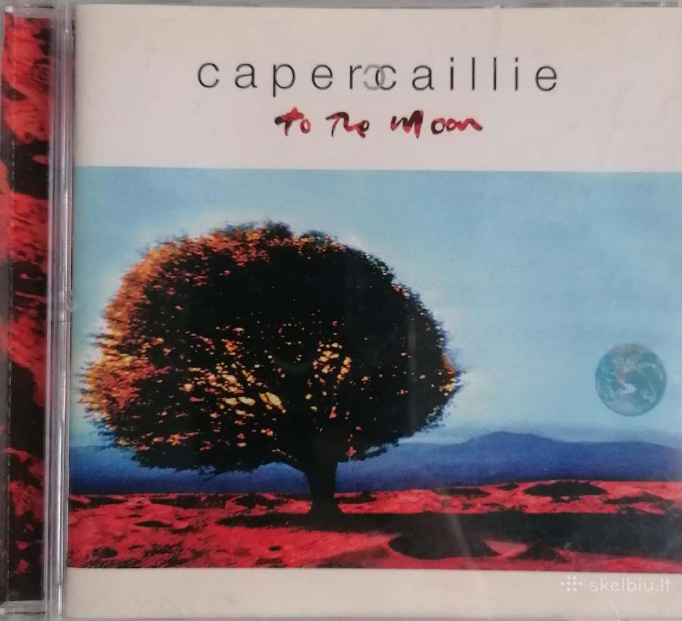 CD Celi Dion, Abba, Queen, Smokie, John Farnham - nuotraukos Nr. 20
