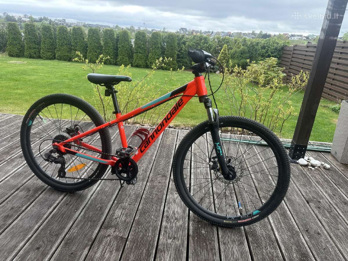 Cannondale Trail 24