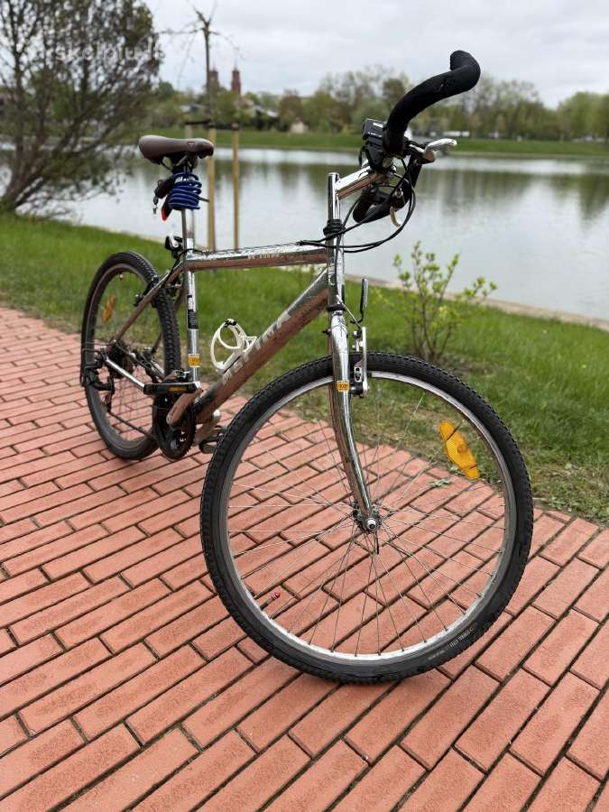 Alpina 26 hibridinis / miesto dviratis su Shimano