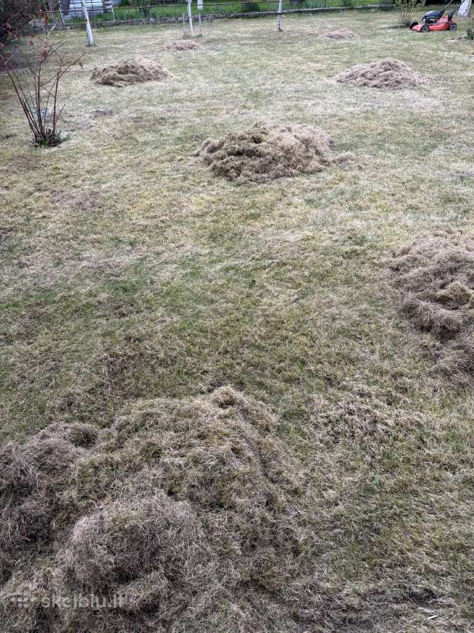 Vejos skarifikavimas, tręšimas, žolės pjovimas - nuotraukos Nr. 8