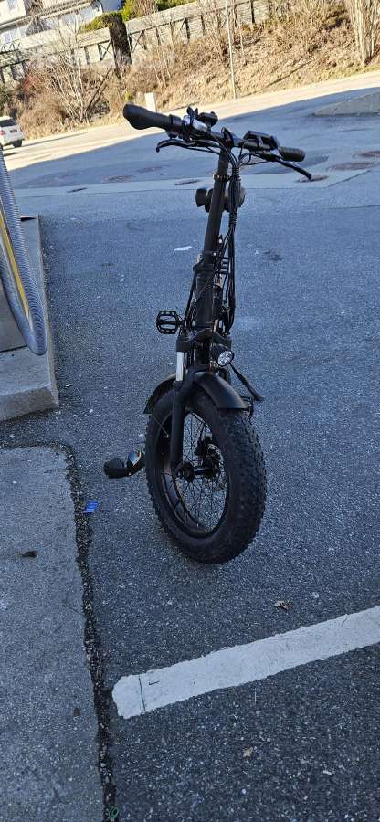 Dviratis Pace F1max