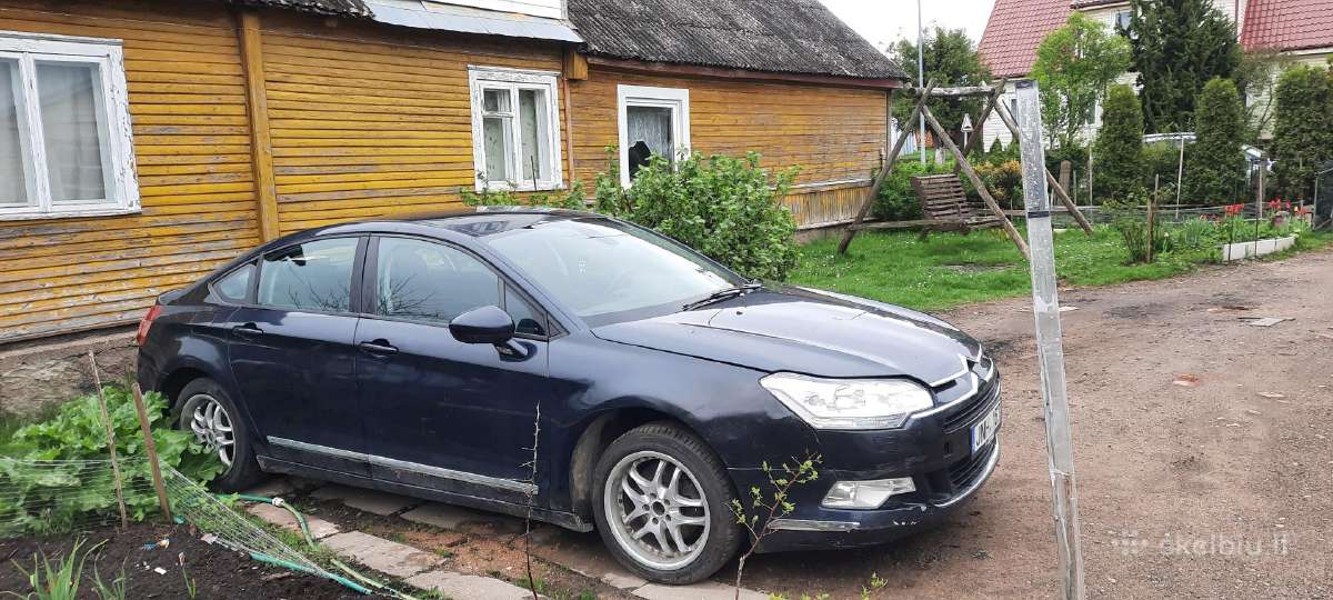 Dalimys arba visa variklio defektas 2008