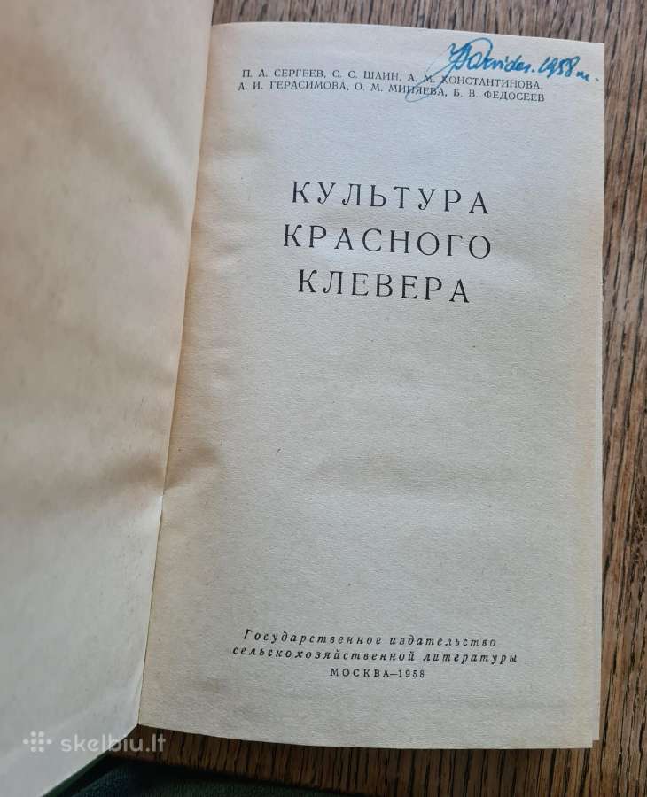 Raudonųjų dobilų auginimas (rusų k.) - nuotraukos Nr. 3