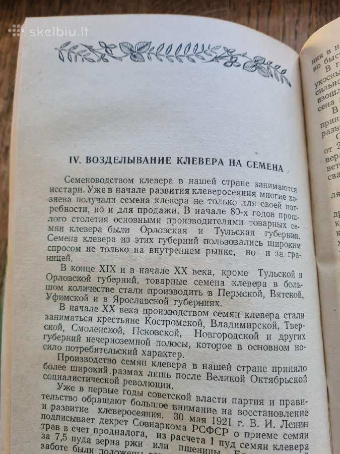 Raudonųjų dobilų auginimas (rusų k.) - nuotraukos Nr. 6