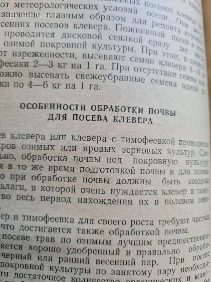 Raudonųjų dobilų auginimas (rusų k.) - nuotraukos Nr. 8