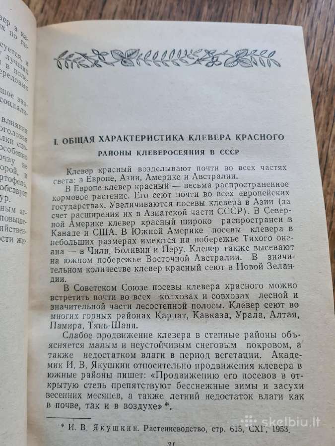 Raudonųjų dobilų auginimas (rusų k.) - nuotraukos Nr. 9