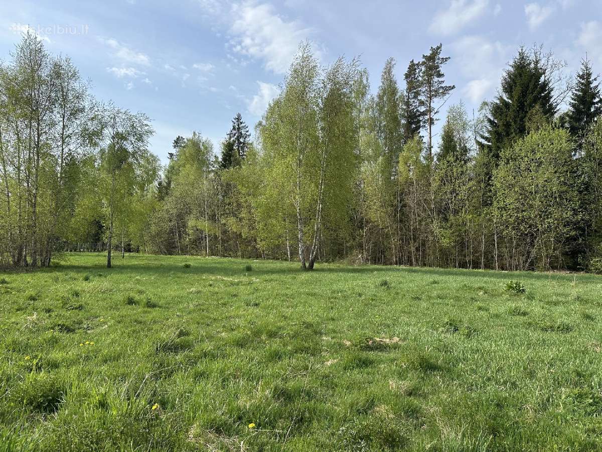 Parduodamas namų valdos žemės sklypas - nuotraukos Nr. 3