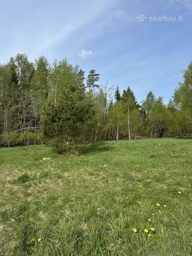 Parduodamas namų valdos žemės sklypas - nuotraukos Nr. 5