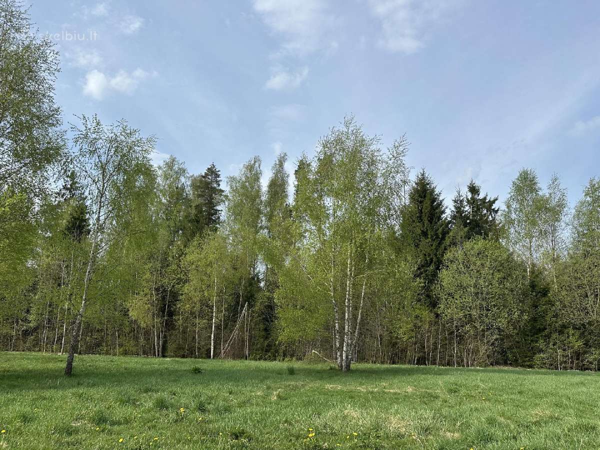 Parduodamas namų valdos žemės sklypas