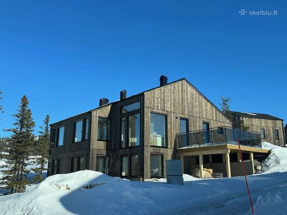 Vidaus Apdailininkai-staliai-stogininkai