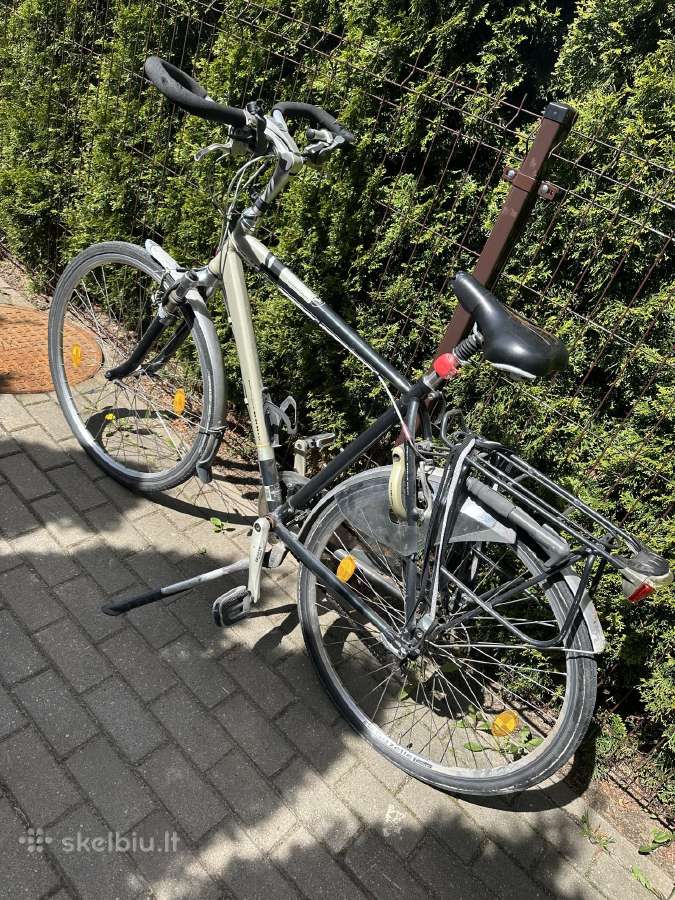 Gazelle dviratis