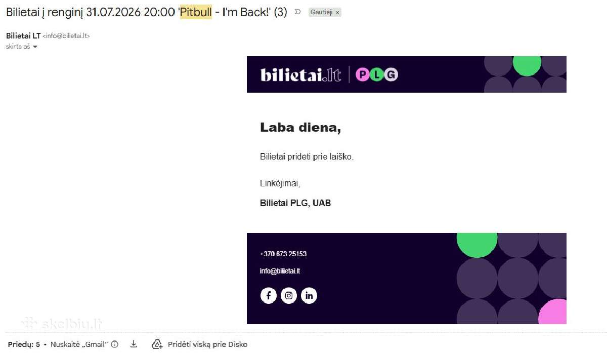 Pitbull Stovimas B (3 vnt.)