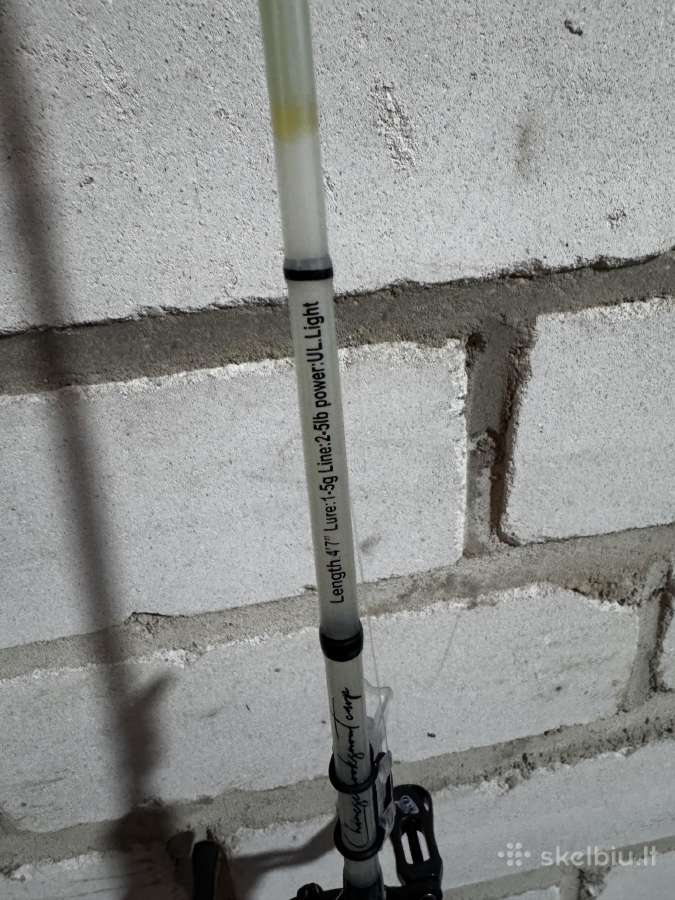 Dankung stiklopluosto bfs kotas ir rite - nuotraukos Nr. 4