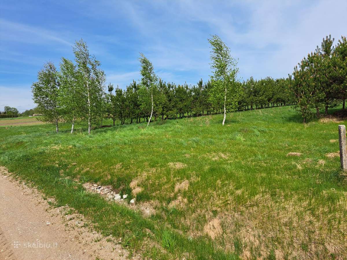 Parduodama sklypai - nuotraukos Nr. 3
