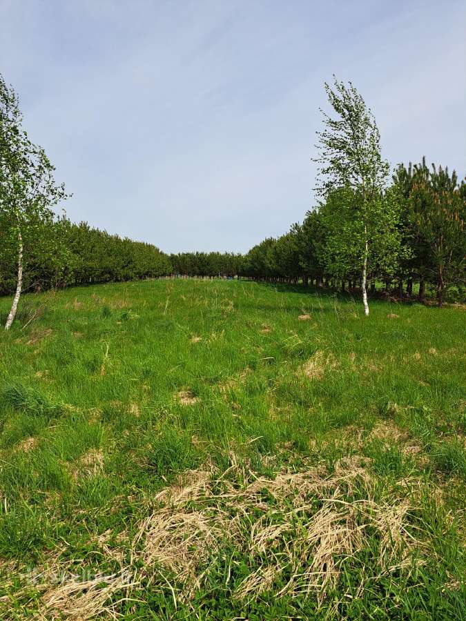 Parduodama sklypai - nuotraukos Nr. 5