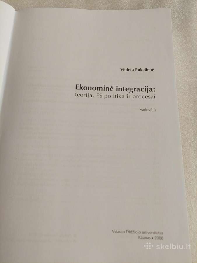 Ekonominė integracija - nuotraukos Nr. 2
