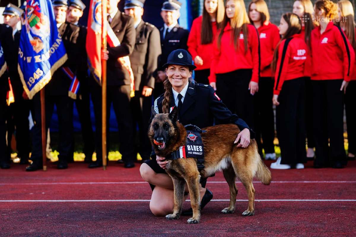Malinua šuniukai su dokumentais šeimai ir veikloms - nuotraukos Nr. 14