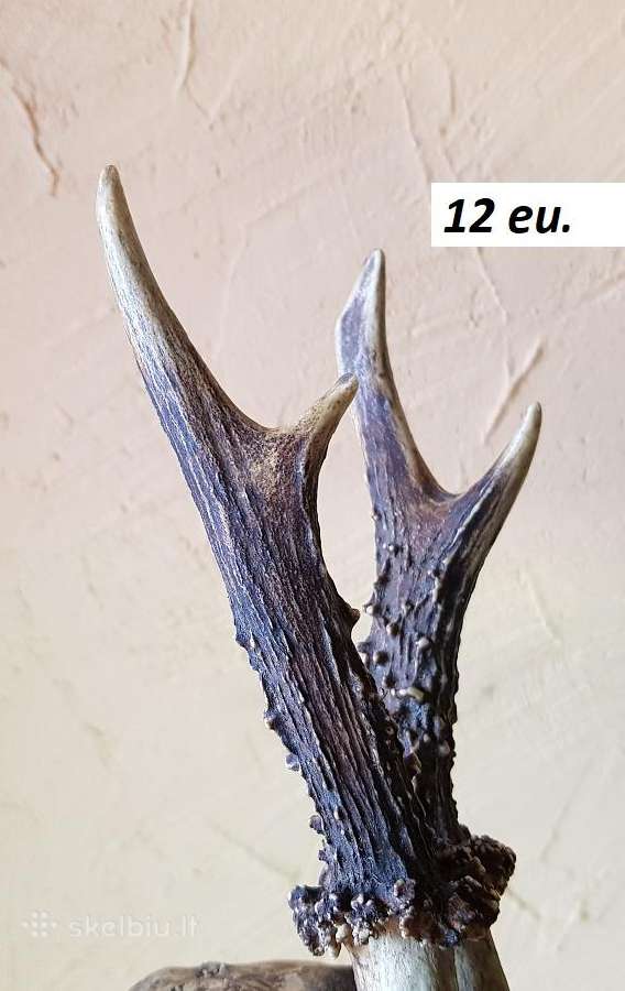 Antikvariniai Liaudiški medinukai ir baldai - nuotraukos Nr. 22