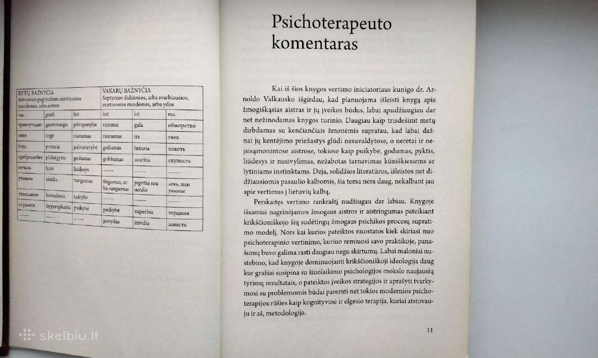 Aistros įveika askezės ir psichologijos metodais - nuotraukos Nr. 6