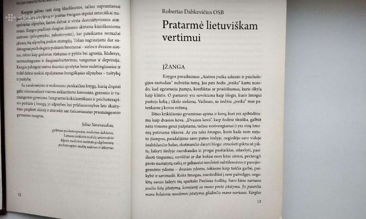 Aistros įveika askezės ir psichologijos metodais - nuotraukos Nr. 7