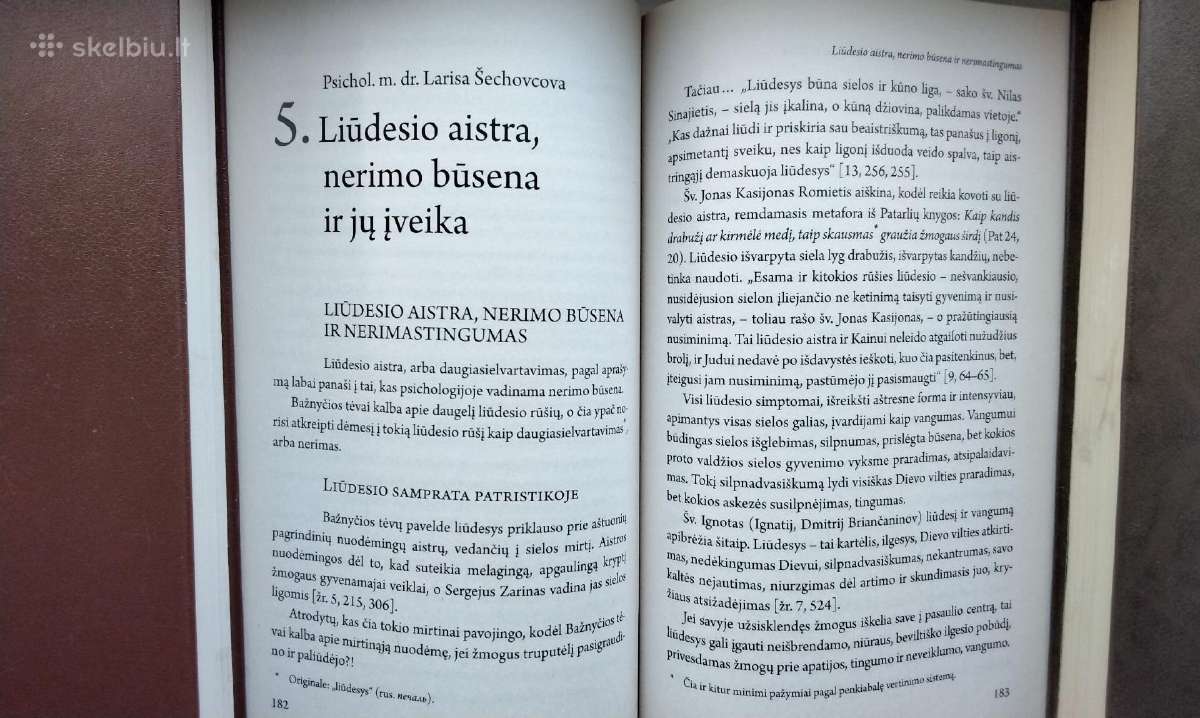 Aistros įveika askezės ir psichologijos metodais - nuotraukos Nr. 9