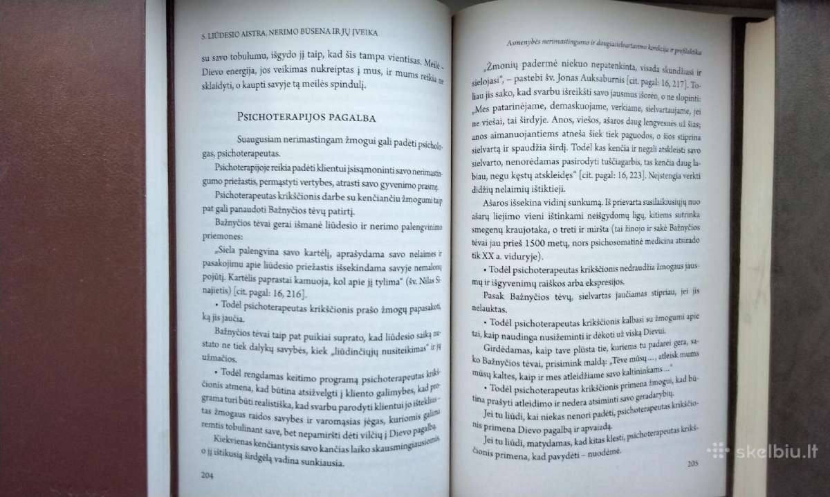 Aistros įveika askezės ir psichologijos metodais - nuotraukos Nr. 10