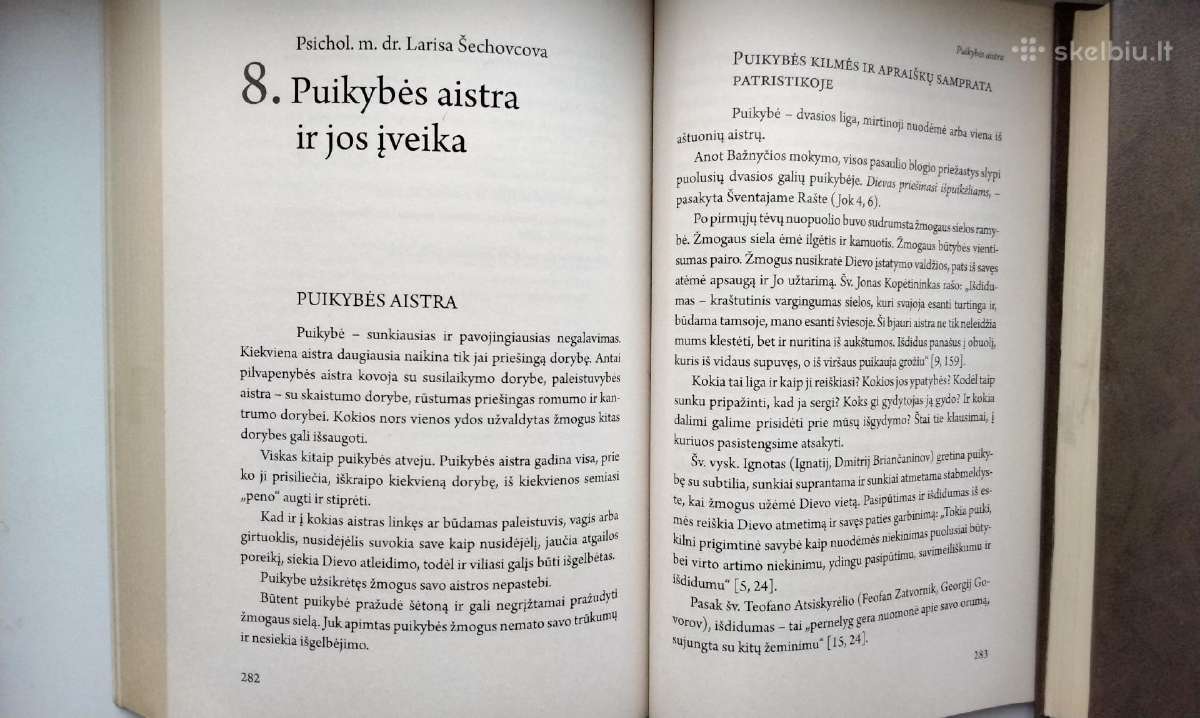 Aistros įveika askezės ir psichologijos metodais - nuotraukos Nr. 11