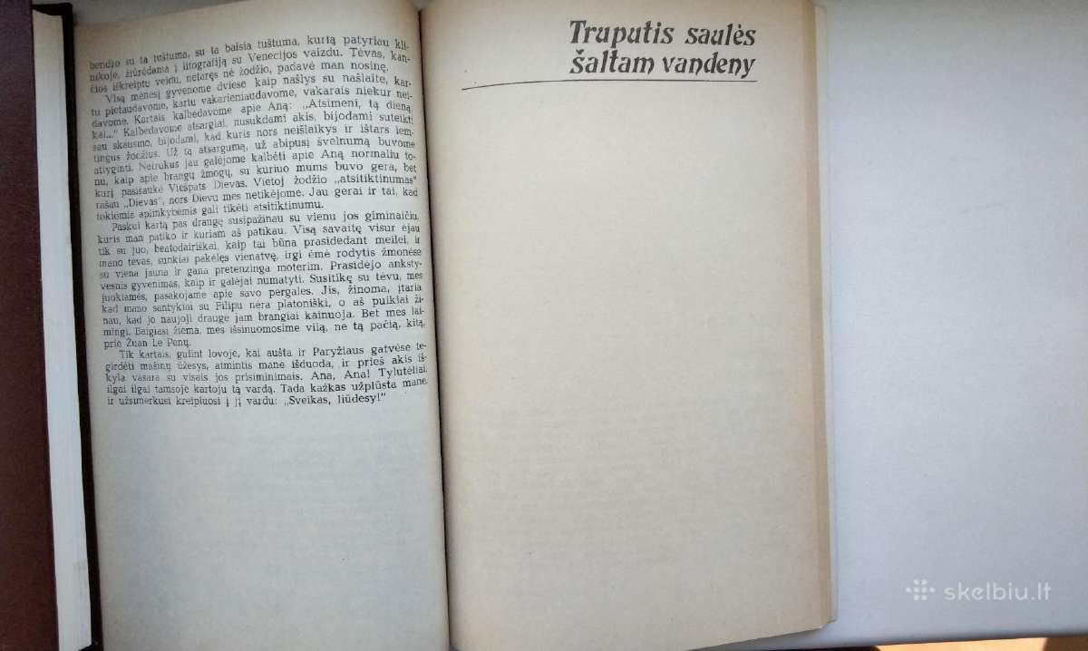 F. Sagan. Sveikas, liūdesy. Truputis saulės šal - nuotraukos Nr. 6