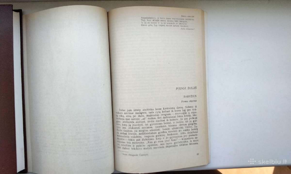 F. Sagan. Sveikas, liūdesy. Truputis saulės šal - nuotraukos Nr. 7