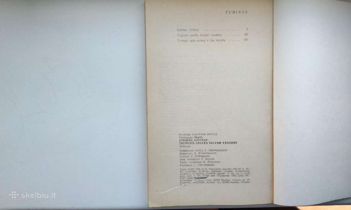 F. Sagan. Sveikas, liūdesy. Truputis saulės šal - nuotraukos Nr. 10