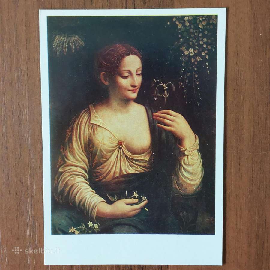 Atvirukai - Western European portrait / Hermitage - nuotraukos Nr. 8
