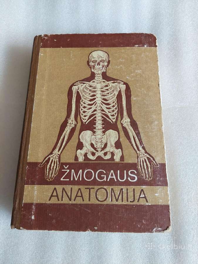 Žmogaus anatomija