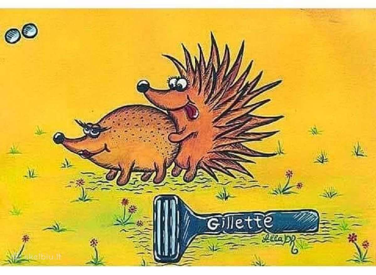 Jau 15 metų tik originalūs Gillette