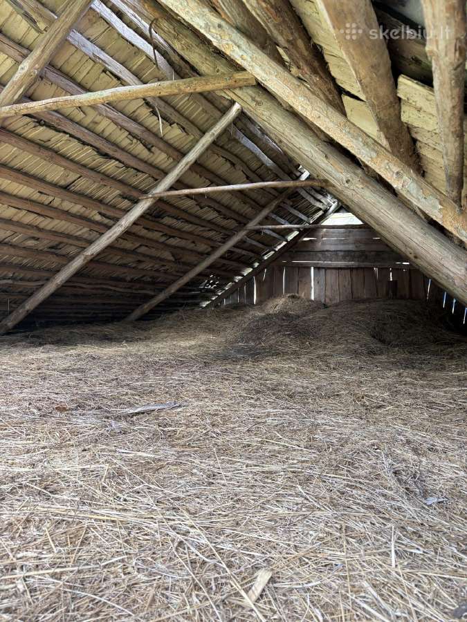 Dovanoju šieną