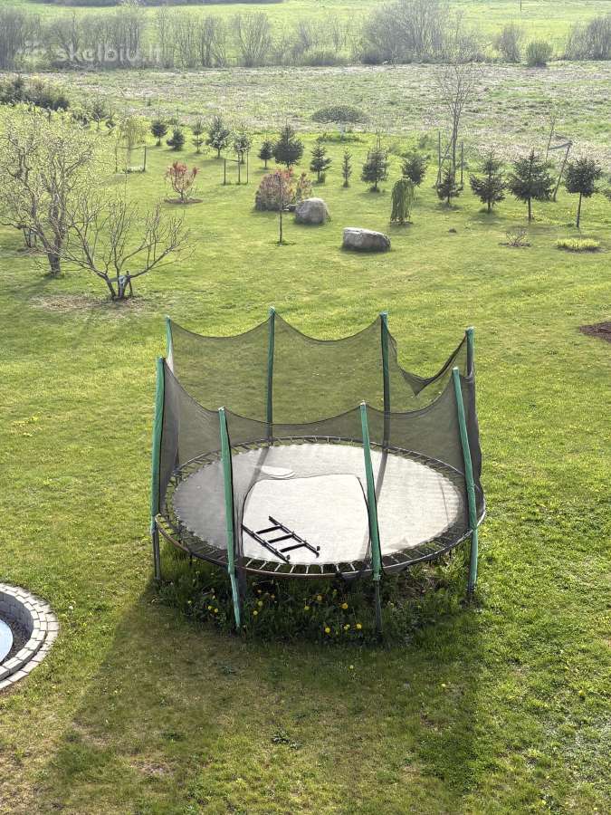 Batutas