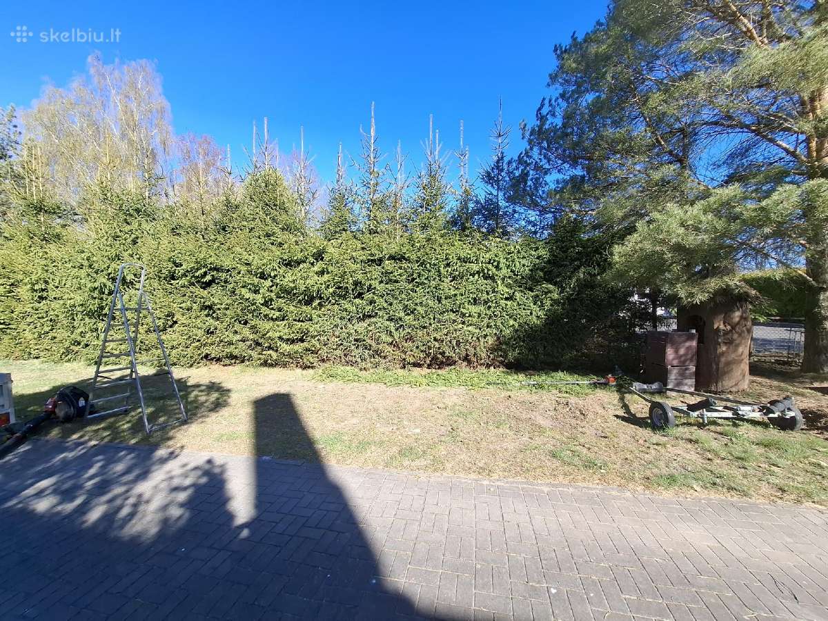 Gyvatvorių genėjimas,vejos pjovimas,skarifikavimas - nuotraukos Nr. 26